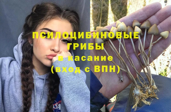 бошки Верея