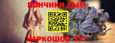 стаф Гай