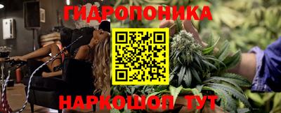 кокс Берёзовский