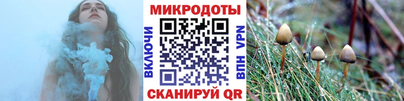 Галлюциногенные грибы мицелий  гидра как зайти  Гудермес 