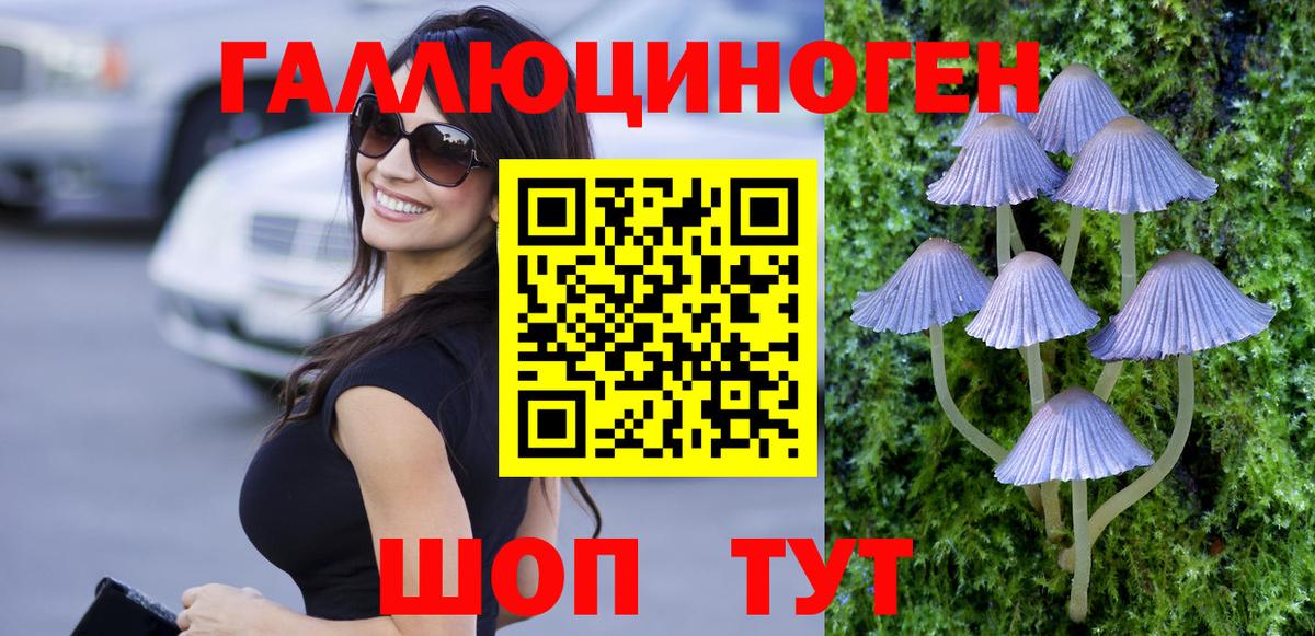Галлюциногенные грибы Magic Shrooms  Вход с VPN  Гудермес 