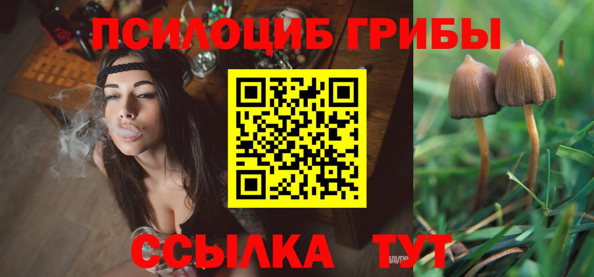 Галлюциногенные грибы ЛСД Гудермес