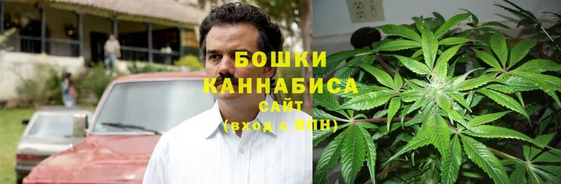 купить закладку  дарк нет клад  Канабис White Widow  Гудермес 